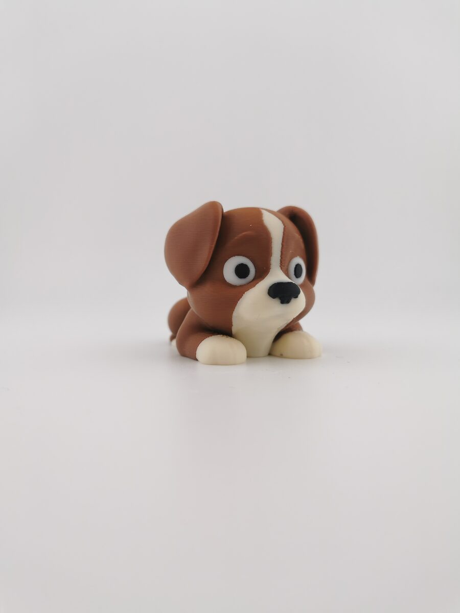 Flexi Dog6